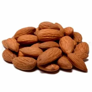تصویر 1 از قیمت خرید بادام درختی طبایع با فروش عمده